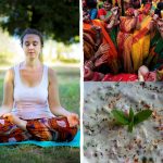 Hatha Yoga e Cena Indiana nel Giardino di Borgo Allegri